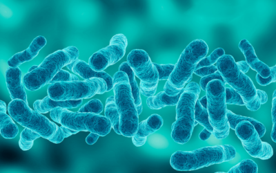 ¿Qué es la Legionella y dónde se encuentra?