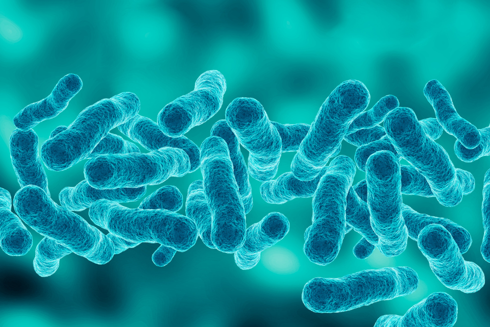 ¿Qué es la Legionella y dónde se encuentra?