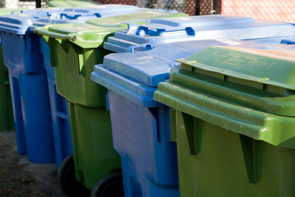 plagas-en-las-zonas-de-basura-masqueplagas